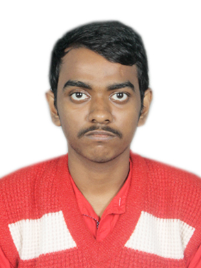 Suvajit Ray